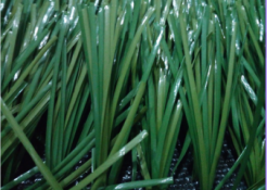 足球场人造草坪施工-MT-50mmU型双色单丝